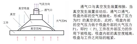 SCHMALZ真空吸盘