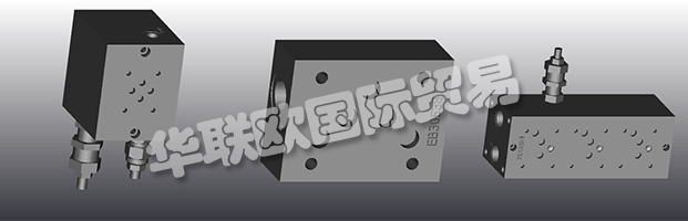 EUROFLUID Hydraulic是一家大型公司，专门生产液压设备的歧管。